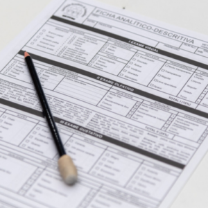 Projeto Novos Caminhos, Novas Possibilidades - edição 2026