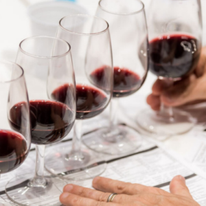 Projeto Novos Caminhos, Novas Possibilidades